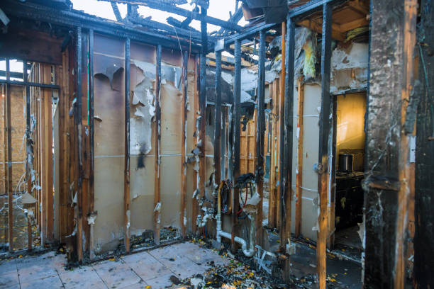 Professional Soot Cleanup technician working in Anacortes, WA
